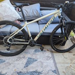Specialized Mountain Bike