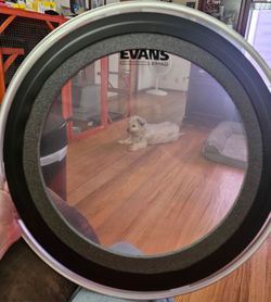 Evens emad single-ply  clear new