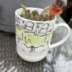 Succulents In Cute Ceramic Mug