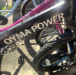 Feng Yun  Omya power Mountain Bike