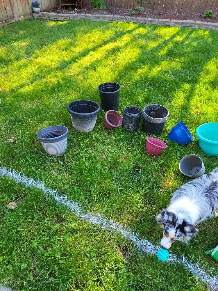 Miscellous Outdoor Plastic Pots