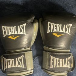 12oz Everlast boxing gloves 