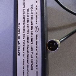 Electric Bike Charger 