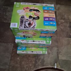 Wet Cat Food 
