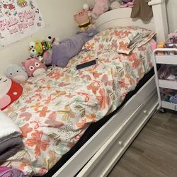 Girls Twin Bed With Trundle