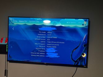 49 Inch Roku TV.