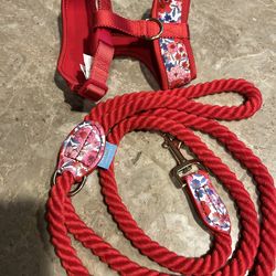 Like new XS dog harness and leash