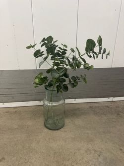 Vase with eucalyptus