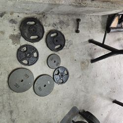 Weights And Bench 