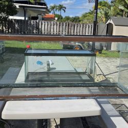 10 And 20 Gallon  fish/reptile Tanks