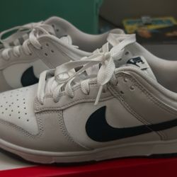 Nike Dunks 