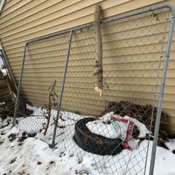 4 Dog Kennel Fences