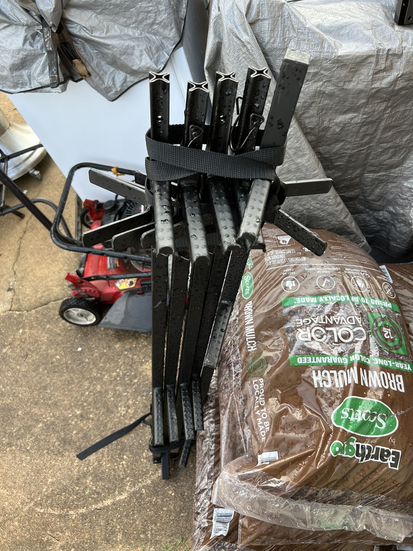 Tree Ladder