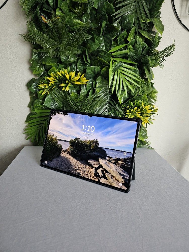Samsung Galaxy Tab S10 Ultra 256GB, Moonstone Gray, W/Extras