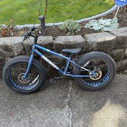 Kids Mountain Bike Like New