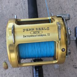 Penn International Fishing Reel/New Braid/New Shark Rod