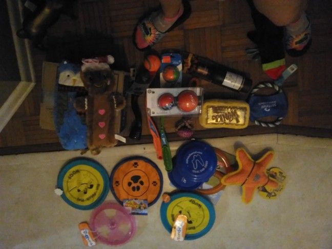 Assorted Dog Toys