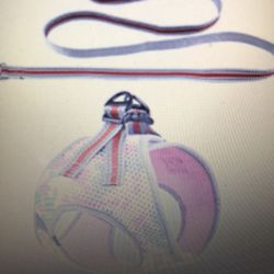 Dog Harness And Leash