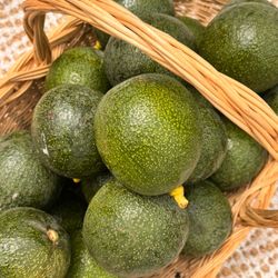 Avocados