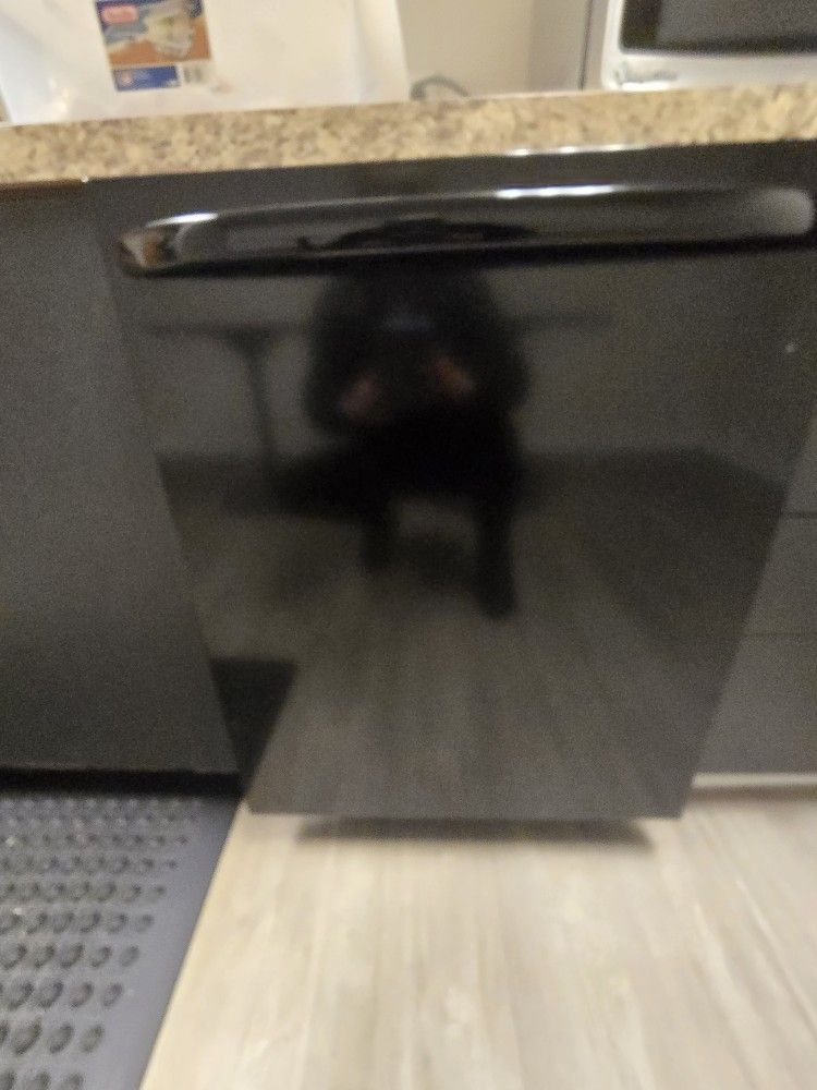Ge Dishwasher
