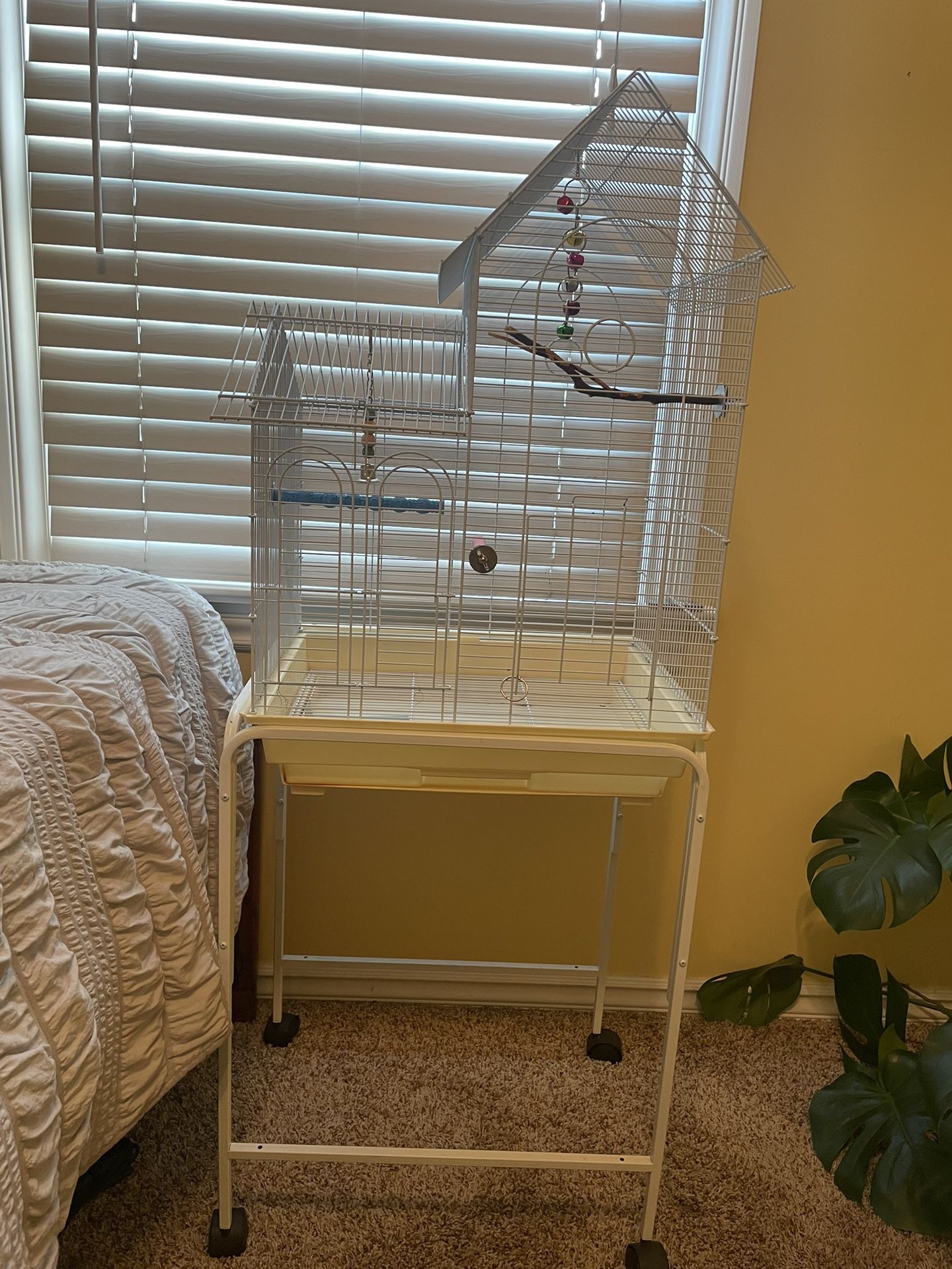 Bird Cage