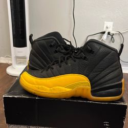 Jordan 12
