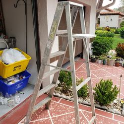 Six Foot Aluminum Ladder