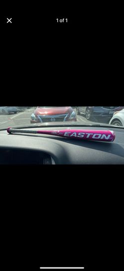 Easton Bat