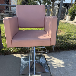 Salon Chair