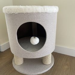 Cat Bed With Scratching Posts 