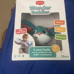 Wonder