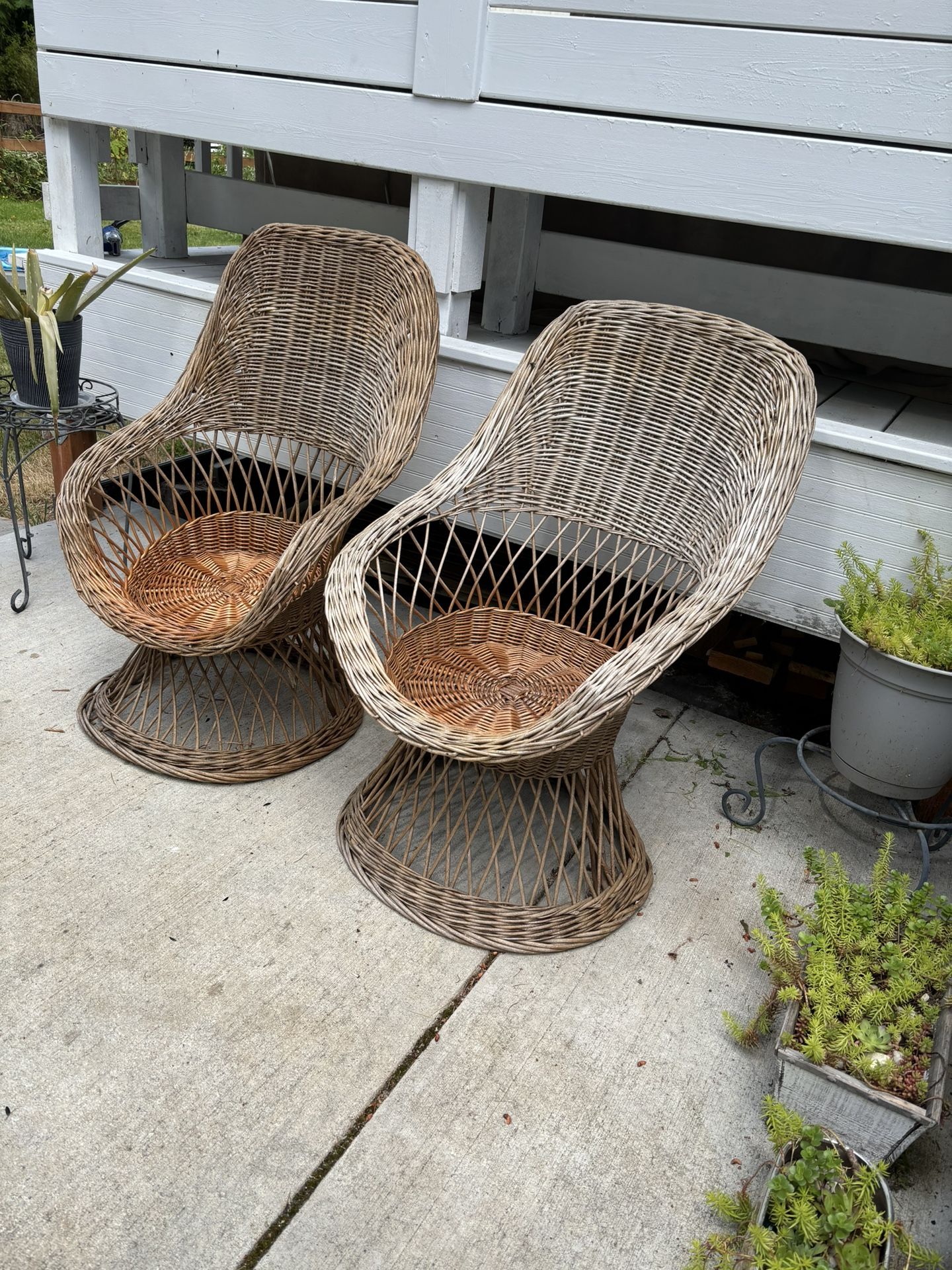 Rattan Chairs Set Of Two