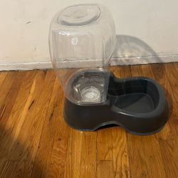 Dog Water Dispenser 