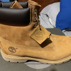 Timberland Brand New In Its Box Never Worn