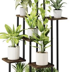 Plant Stand