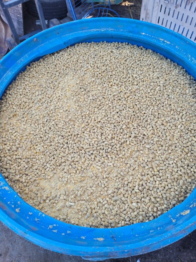 Chicken Feed