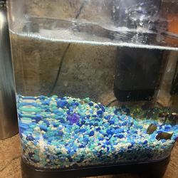 Fish Tank Betta Set Up 