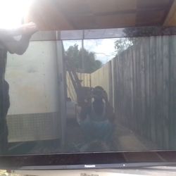 Panasonic TV (55")