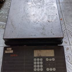 Counting Scale