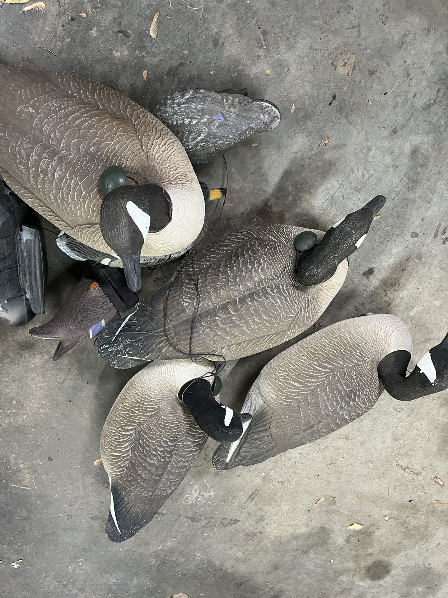 Decoys Big Honker Floater Full-Body Canada Goose Decoys