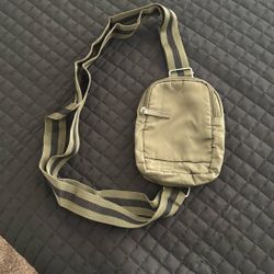 new dsw small cross bag 