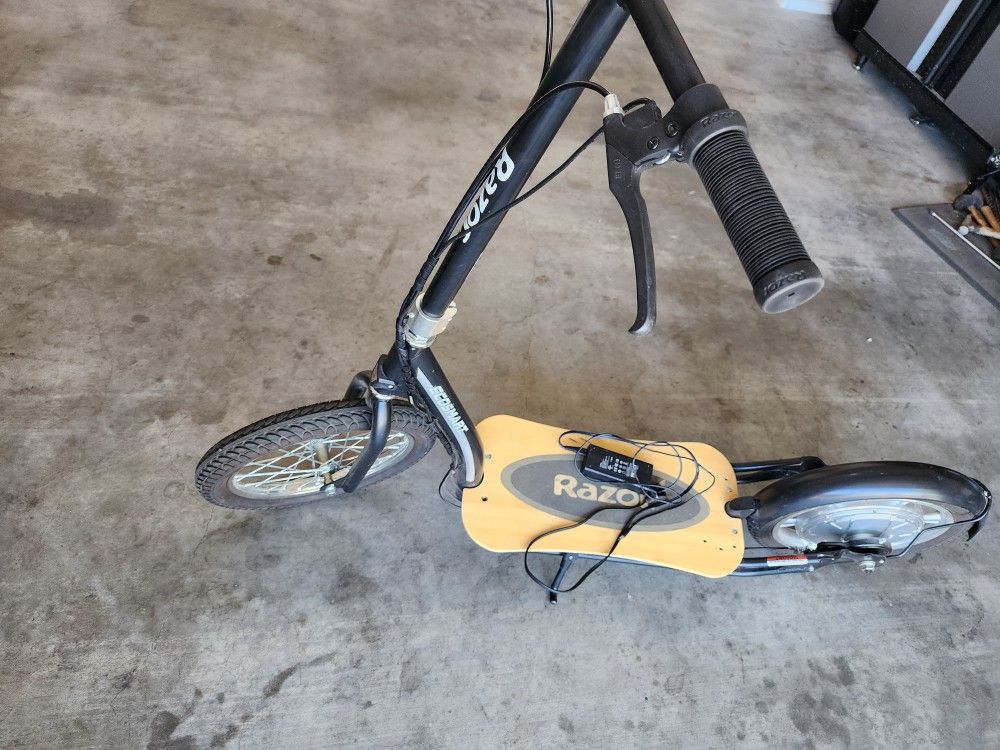 Razor Ecosmart Scooter