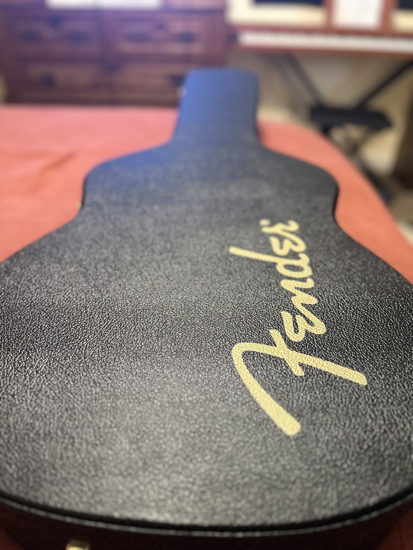 Fender Guitar Case