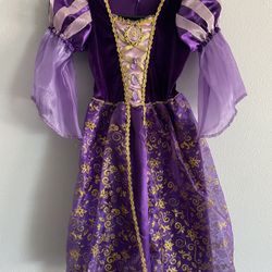 Disney Elsa Halloween Costume 