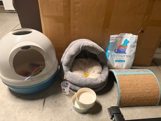 Kitten starter bundle