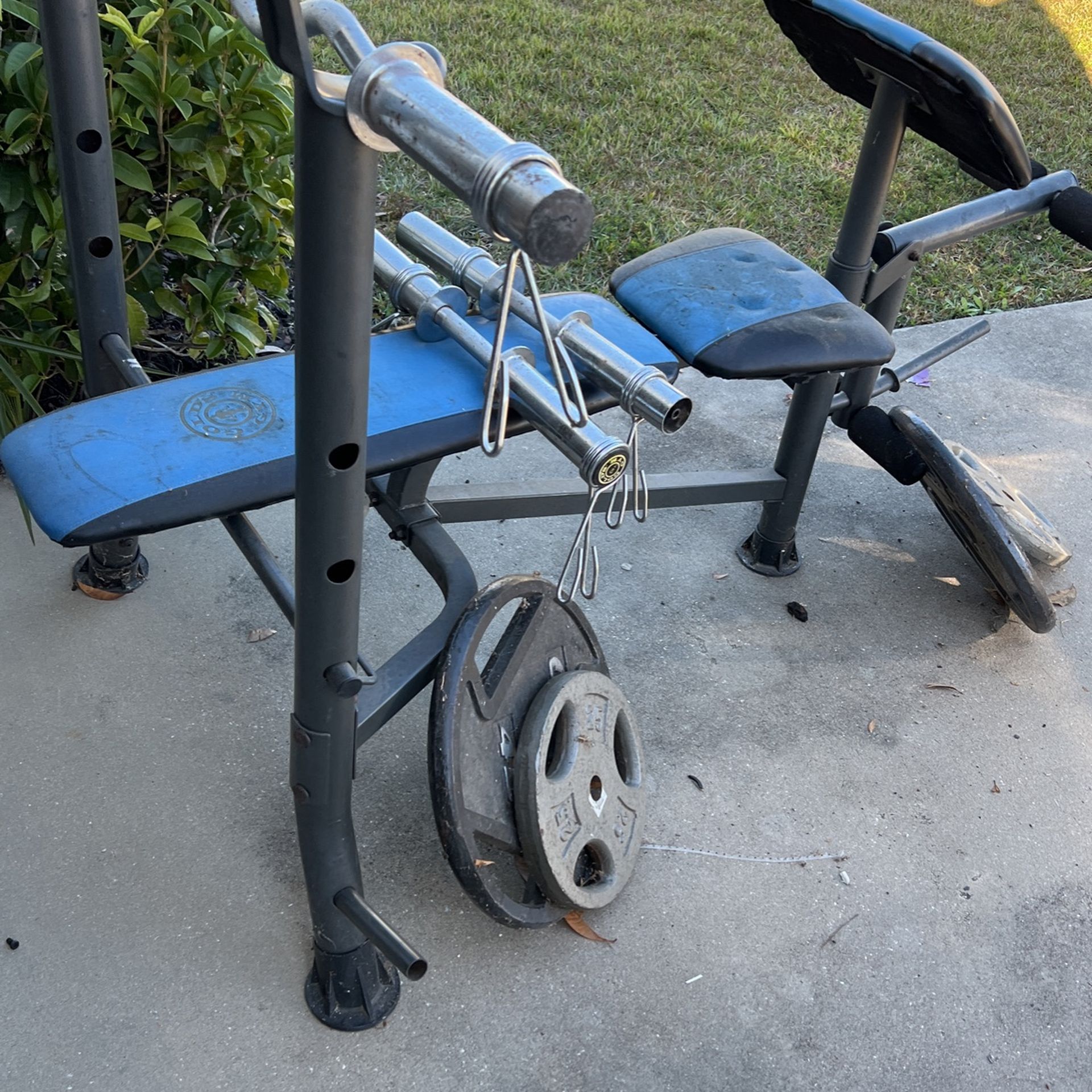 Golds Weightlifting Ser