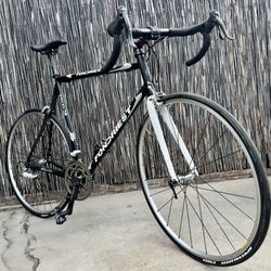 💥🔥60cm Fondriest 16.50 XStatus Full Campagnolo Road Bike🔥💥