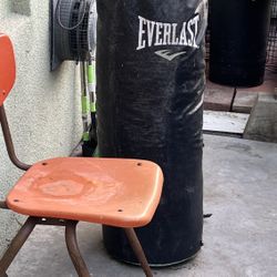 Everlast Punching bag 
