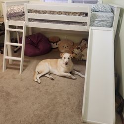 Loft Bed with Slide
