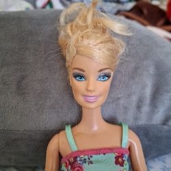 Barbie 2009 Fashionistas